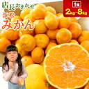 【静岡県浜松市産】店長おまかせ浜松みかん 2kg 3kg 4kg 8kg 訳あり(品種、大きさ、不揃い、味自慢、味で勝負) ミカン 蜜柑 青い 極早生 フルーツ 大容量 業務用 みかん ミカン 送料無料 お歳暮 ギフト プレゼント みかん 蜜柑 mikann 糖度 お取り寄せ 浜松産
