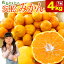 【静岡県浜松市産】店長おまかせ浜松みかん 4kg訳あり(品種、大きさ、不揃い、味自慢、味で勝負) ミカン 蜜柑 フルーツ 大容量 業務用 みかん ミカン 三ヶ日 約4kg 送料無料 お歳暮 ギフト プレゼント みかん 蜜柑 甘い mikann 糖度 お取り寄せ 1,999円