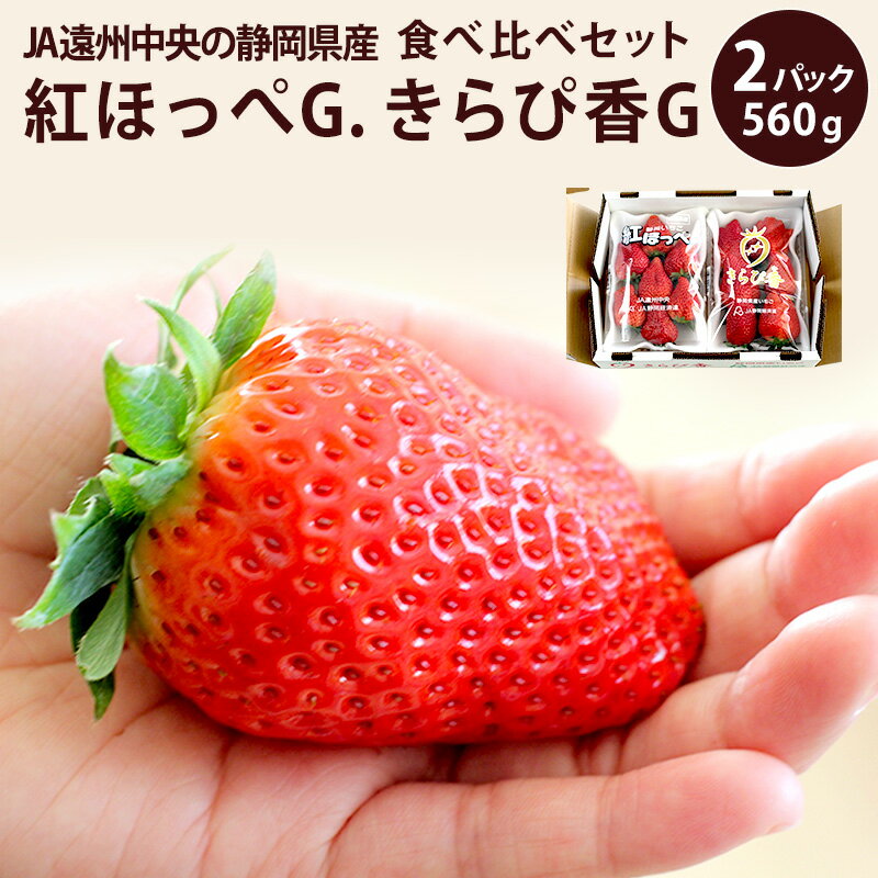 静岡県産紅ほっぺG. きらぴ香G.食べ比べセット紅ほっぺ いちご イチゴ バレンタイン 紅ほっぺ いちご 静岡のサムネイル