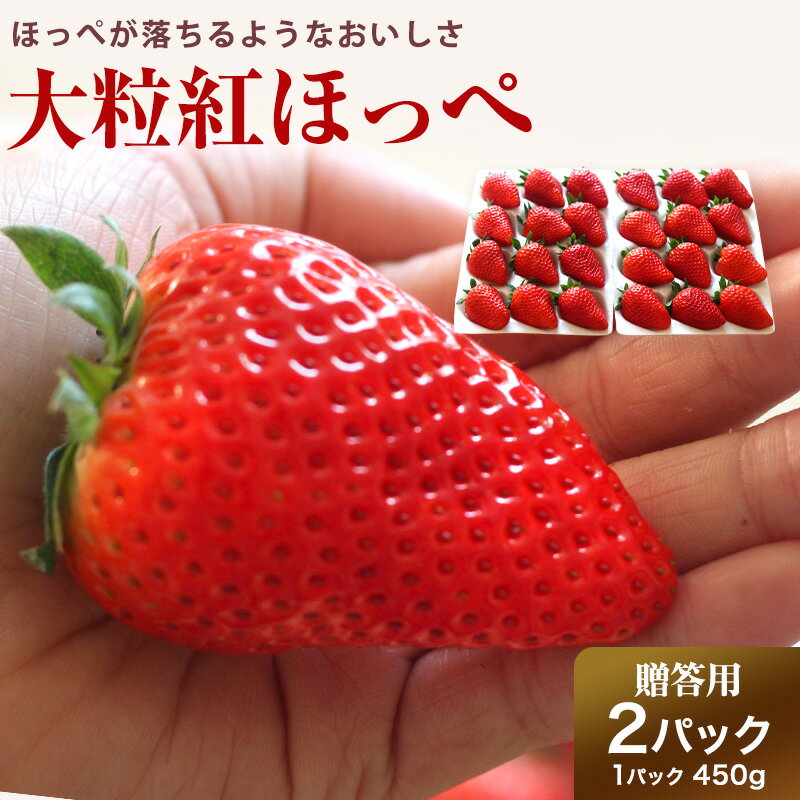 【12月上旬発送】【静岡県産】送料無料 大粒 紅ほっぺ（12粒〜15粒）450g×2パック紅ほっぺ いちご イチゴ バレンタイン 紅ほっぺ いちご 静岡 ホール予約販売　あまいのサムネイル