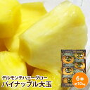 【フィリピン産】ハニーグロー 大玉 6本入り 約10キロパイナップル パイン 高濃度 プレミアム フルーツ 送料無料