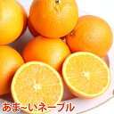 【アメリカ産】おまけ付き ネーブル オレンジネーブル送料無料 1kg 2kg 3kg 4kg 5kg【送料無料】