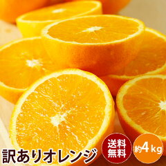 https://thumbnail.image.rakuten.co.jp/@0_mall/hamachu/cabinet/07191313/10000084_thum_orenji.jpg