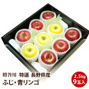 【長野県産 青森県産】ふじ・青りんご 約2.5kg 9個送料無料 りんご フルーツ 国産 特選 贈答用 お歳暮 プレゼント ギフト【送料無料】【約2.5kg】【...
