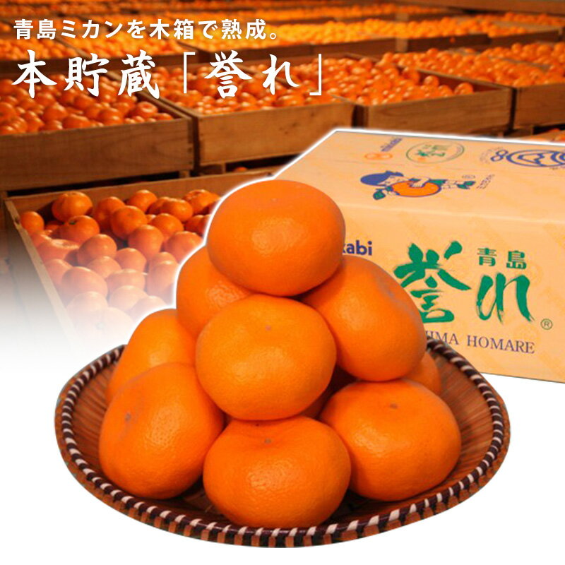 3月3日頃発送【静岡県産】 本貯蔵 誉れ 青島 三ヶ日みかん M~3L 3.5kg～4kg 送料無料 三ヶ日青島みかん みかん ほまれ 青島みかん 三ヶ日 青島みかん 【3.5kg】【4kg】 みかん ミカン 蜜柑 お歳暮 ギフト 送料無料 甘い 直売 糖度 お取り寄せ mikann 静岡 産地のサムネイル