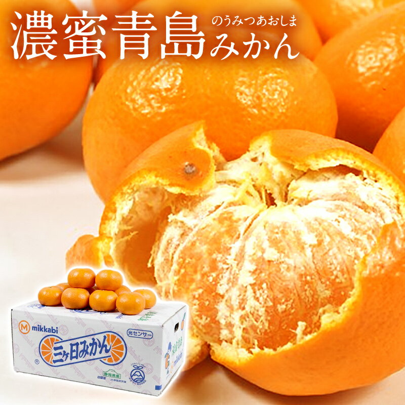 【2026.2月下旬頃発送】頃発送【静岡県産】 濃密青島みかん 青島 三ヶ日みかん 2L 3.5kg 送料無料 三ヶ..