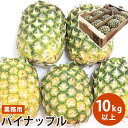 【フィリピン産】業務用パイナップル 10個入り 10キロ以上 業務用パイン【送料無料】【10kg以上】送料無料