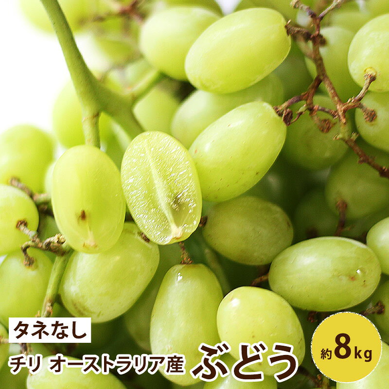 楽天市場】ブドウ（総重量（果物）8.00 ～ 8.99kg）（フルーツ・果物