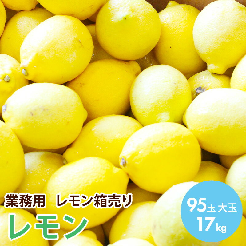 【アメリカ産　チリ産】業務用レモン箱売り 大玉 17キロ 95玉送料無料 ギフト 果物 フルーツ
