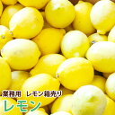 【アメリカ産】業務用レモン箱売り 中玉 17キロ 140玉 小玉 165玉 大玉 95玉 115玉送料無料 ギフト 果物 フルーツ