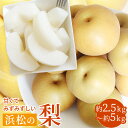 【静岡県 浜松市産】浜松の梨 約2.5kg 5〜8個 約5kg 8〜14個 梨 送料無料 ギフト プレゼント 果物 フルーツ