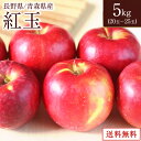 紅玉 5キロ 青森県 長野県 小玉りんご 約20玉～25玉入 フルーツ りんご 林檎 リンゴ 5キロ アップル お歳暮