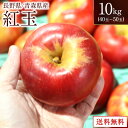 りんご 紅玉　10キロ　 青森県　長野県 小玉りんご　約40玉～50玉入　フルーツ　りんご　林檎　リンゴ　10キロ　アップル お歳暮