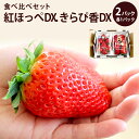 静岡県産紅ほっぺDX1p、きらぴ香DX1p　食べ比べセット合計2パック紅ほっぺ いちご イチゴ バレンタイン 紅ほっぺ いちご 静岡