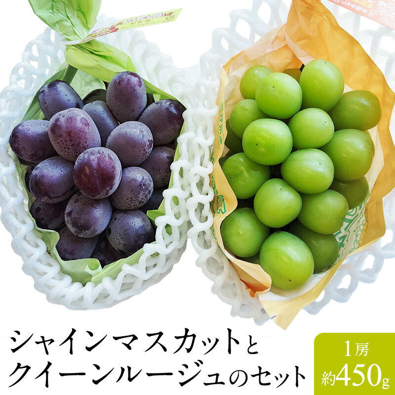 【長野県産】シャインマスカットとクイーンルージュのセット 各450g ぶどう 葡萄 フルーツ ギフト プレゼント 贈答品 お中元 のし対応 お取り寄せ 贈答用 ご家庭用 人気 高級ぶどう 送料無料