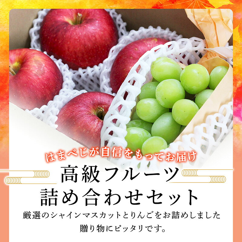 【長野県産 青森県】りんごとシャインのセット ギフト 高級フルーツ詰め合わせセッ...