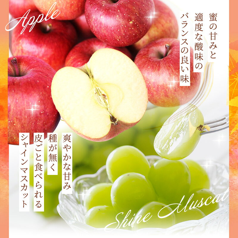 【長野県産 青森県】りんごとシャインのセット ギフト 高級フルーツ詰め合わせセッ...