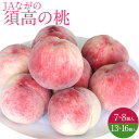 2025.7.25 頃より入荷次第順次発送 長野県産 須高の桃 2キロ以上 7~8個入り 4.5キロ以上 13~16個入り もも 【送料無料】 旬の桃 もも ピーチ フルーツ 夏ギフト 御中元 お中元 熨斗対応