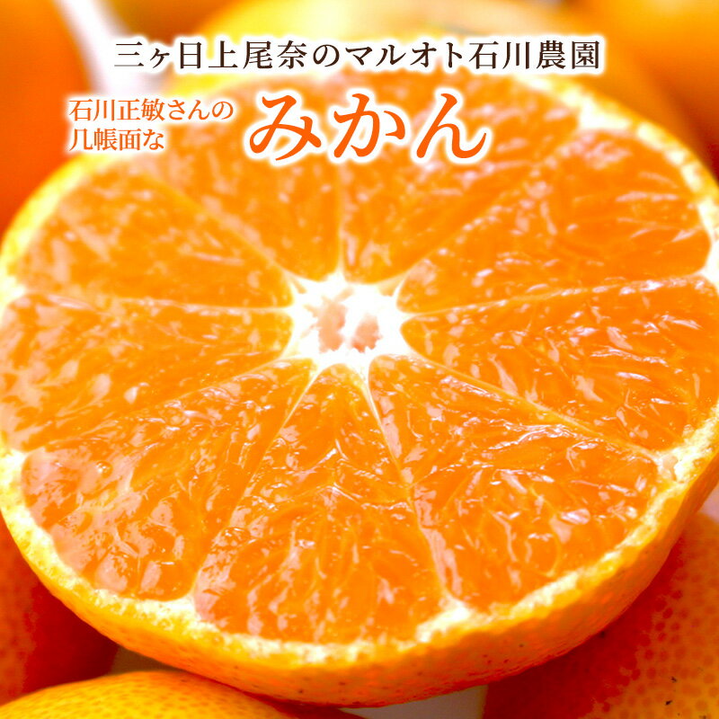 【11月下旬より入荷次第順次発送】三ヶ日早生みかん 秀L 秀M 秀S 5kg 10kg 訳あり みかん 静岡県産 ミカン 蜜柑 石川農園 フルーツ 自..