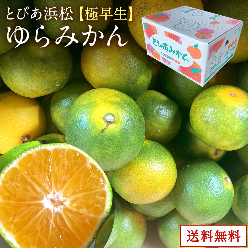 【静岡県産】入荷スタート JAとぴあ浜松ゆらみかん【極早生】2kg 3kg 4kg 10kgとぴあ みかん ゆらみかん ゆら早生みかん 美味しい プレゼント ギフト 送料無料