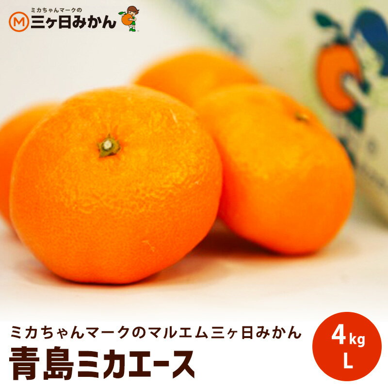 【年内配送可能】【静岡県産】青島ミカエース L 4キロ 糖度13度以上 4kg みかん ミカン 送料無料みかん ミカン 蜜柑 お歳暮 ギフト 送料無料 甘い 直売 糖度 お取り寄せ mikann 静岡 産地のサムネイル