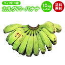 カルダバ・バナナ 10kg 4〜7房入り 箱売り 調理 加工 バナナ 調理用バナナ 料理用バナナ