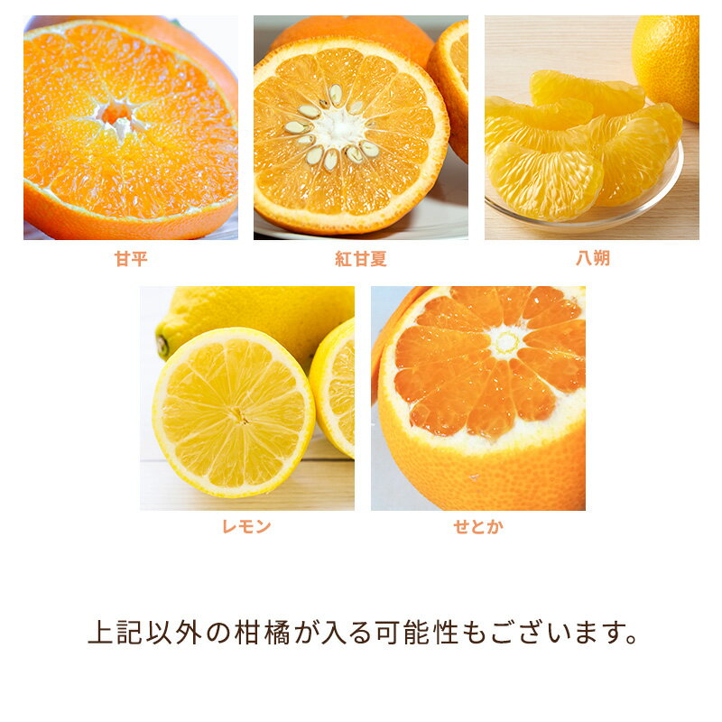店長おまかせ　春の柑橘5種4キロセット 青島みかん ポンカン 文旦 はるみ 白柳ネーブル デコポン 甘平 レモン 紅甘夏 八朔 せとか 送料無料 フルーツ