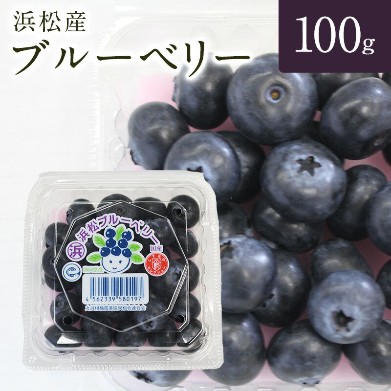 【静岡県産】ブルーベリー100g入り1パックの商品画像