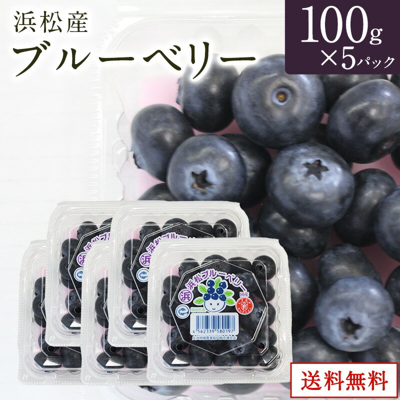 養液栽培による徹底した環境管理をおこなっているため、大玉で酸が少なく、そのまま食べてもおいしいブルーベリーです。 その品質は、市場でも評価されており、東京方面や、静岡、愛知などの高級スーパーでも取り扱っております。 ブルーベリーは、ツツジ科のスノキ属の小果樹で、その果実が濃い青紫色に熟すことからブルーベリー（Blueberry）と呼ばれています。 この仲間の植物は、北半球の各地に自生する種類があり、日本にはクロマメノキ、ナツハゼ、シャシャンボなどが知られています。 欧米では昔から、野生のブルーベリー果実を摘んで食用にしていました。 20世紀の初めより、アメリカ、カナダ原産の種類から品種改良が始められ、今日では世界の温帯圏で広く栽培される果樹になっています。 「浜松ブルーベリー」では、早生系統のサザンハイブッシュから、晩生系統のラビットアイまで、浜松の地に適した品種を常に探求しております。 加温ハウス、無加温ハウス、露地と様々な栽培体系で栽培しているため、3月中旬～7月中旬までと長い期間取り扱っております。 商品詳細 名称 ブルーベリー 産地名 国産（静岡県産） 内容量 1pk100g×5パック 保存方法 冷蔵保存。