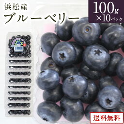 【静岡県産】ブルーベリー100g入り10パック