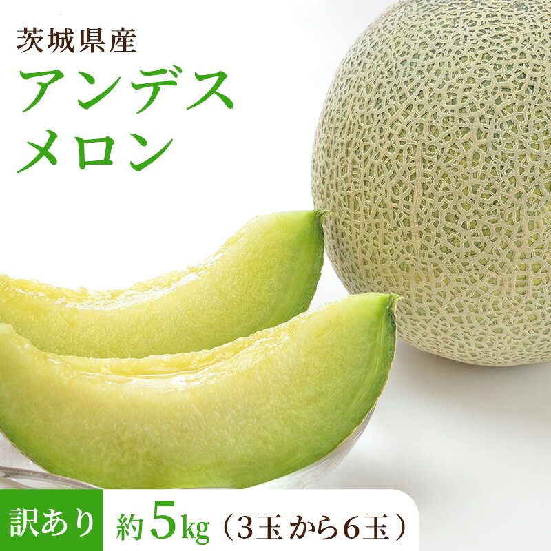 茨城県産【訳ありアンデスメロン3玉から6玉約5キロ】 メロン 送料無料 ギフト おうち フルーツ 果物 形不揃い ちょっと訳あり