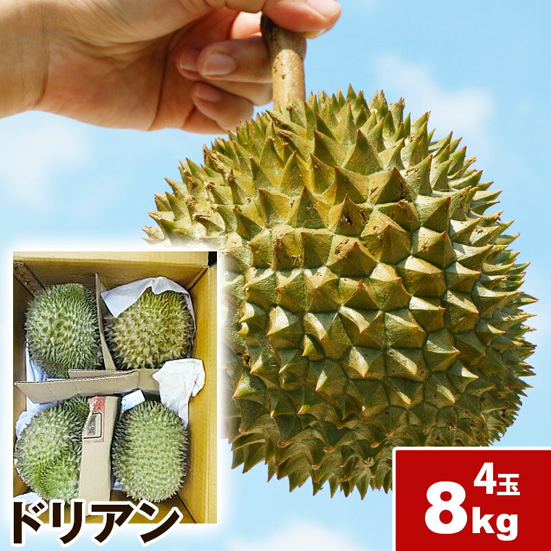 【5月27日から順次発送】送料無料 ドリアン 8kg 4玉 　果物の王様 dorian pine 甘い 果物 フルーツ