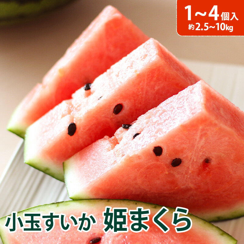 Rakuten - 【静岡県産】2Lサイズ　小玉すいか 姫まくら ハウス栽培 1個入り 2個入り 4個入り 送料無料 西瓜 スイカ ウォーターメロン