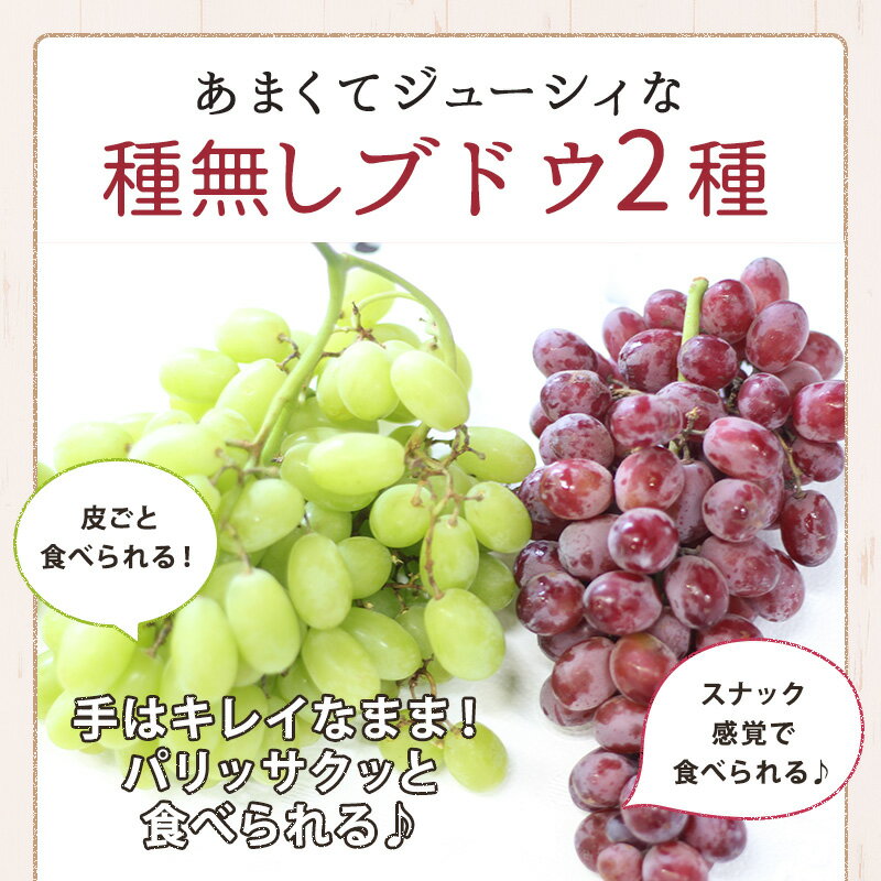 チリ産ブドウ2キロフルーツギフトぶどうセット送料無料