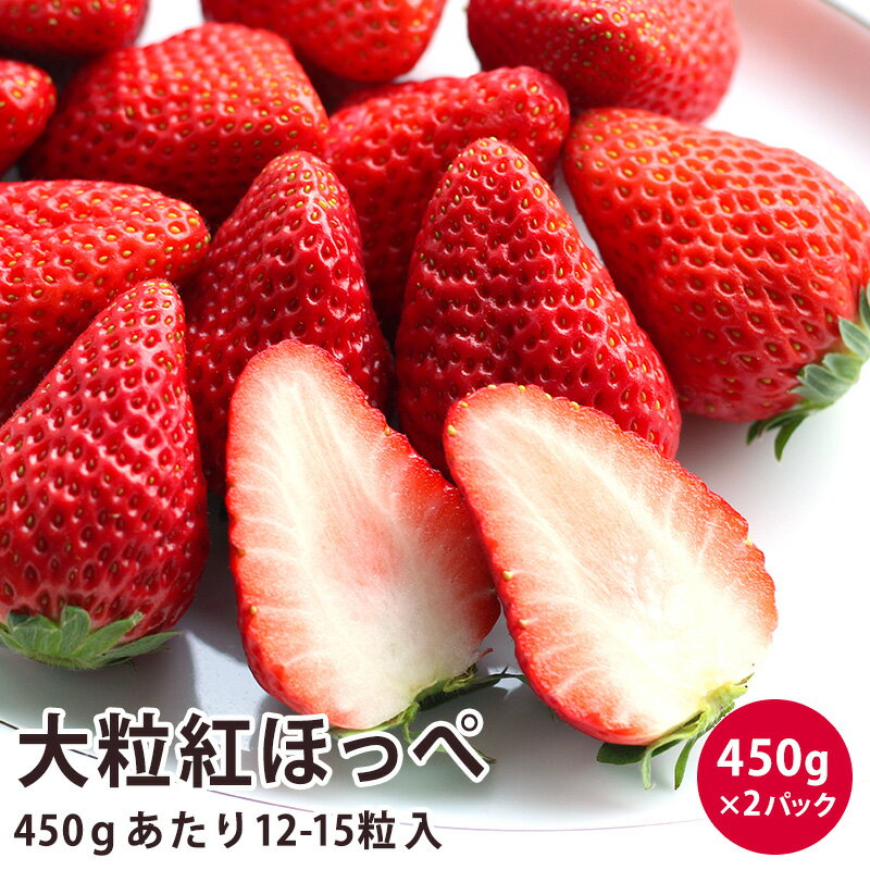 【静岡県産】メッセージカード付 大粒 紅ほっぺ（12粒〜15粒）450g×2パック紅ほっぺ いちご イチゴ バレンタイン 紅ほっぺ いちご 静岡 ホール送料無料