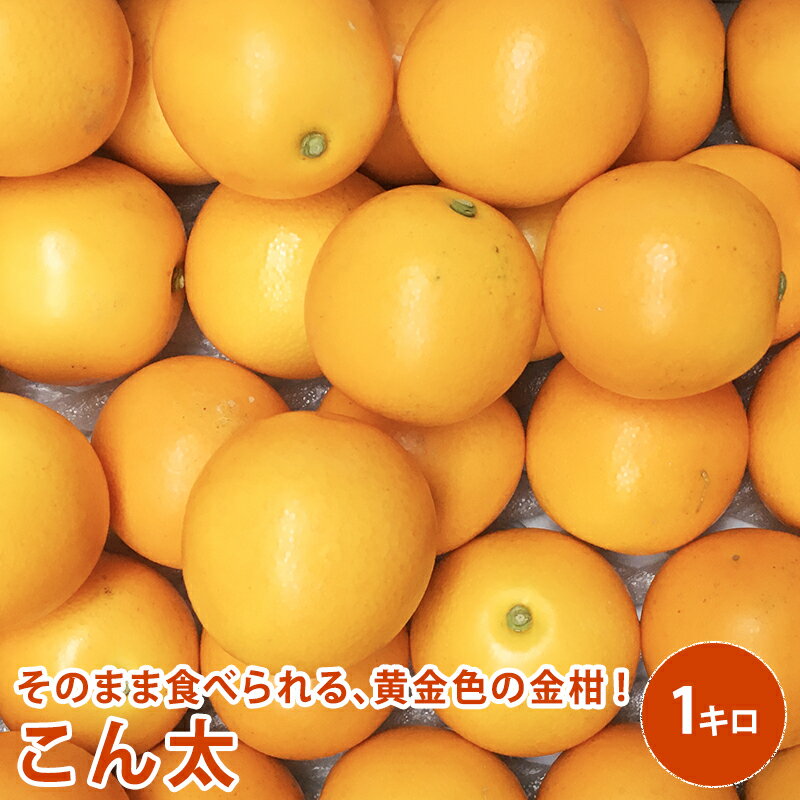 【静岡県産】 こん太　コン太　金柑 キンカン 1kg 2L以上 送料無料のサムネイル