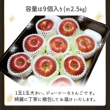 【青森長野県産】サンフジ 2.5キロ(9玉入り)林檎 リンゴ 特選 贈答用 フルーツ ギフト プレゼント送料無料