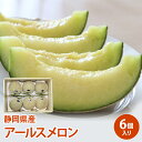 【静岡県産】アールスメロン 約9キロ 6個入り メロン 大容量 送料無料 melon 贈答品 ギフト おうち フルーツ 果物 のし対応