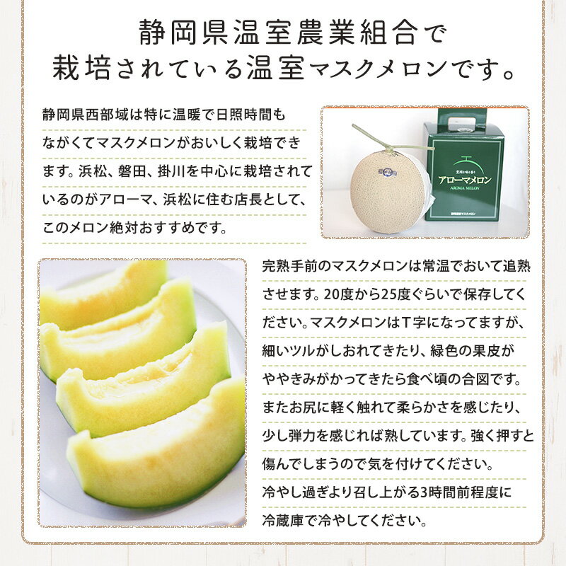 【静岡県産】 マスクメロン 6個入 約9キロ大容量 静岡 マスクメロン アローマメロン フルーツ 果物 産地直送送料無料