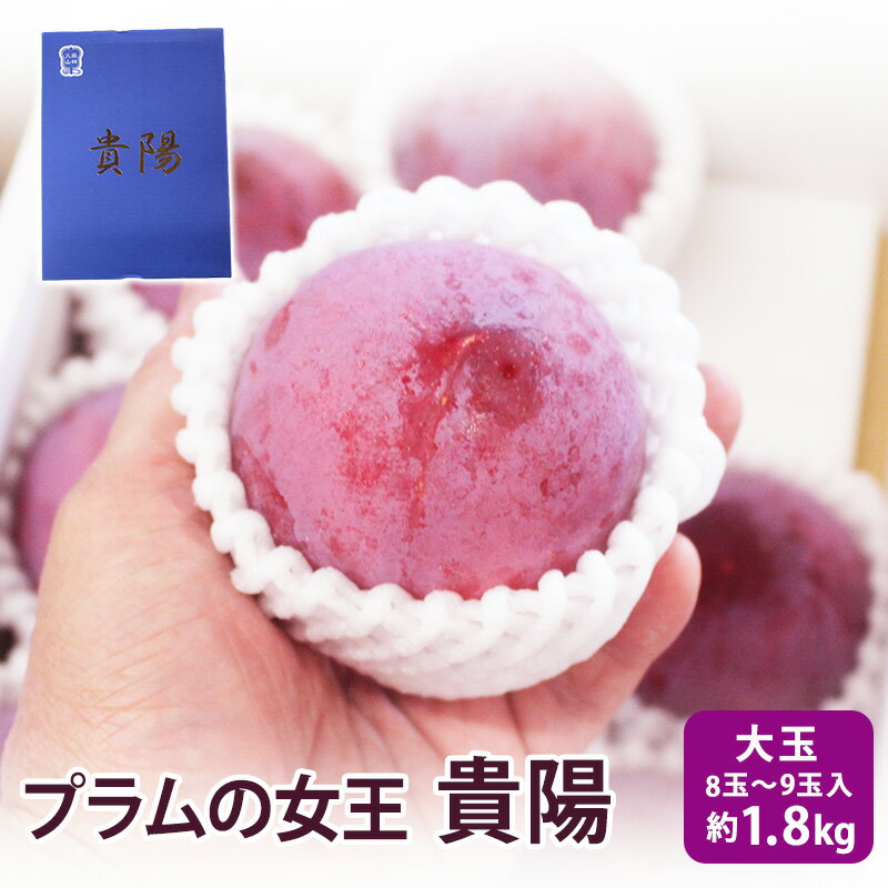 【山梨県産】 プラムの女王 貴陽 1.8kg 大玉 6玉～11玉入り プラム フルーツ 贈答用 送料無料 クール便のサムネイル