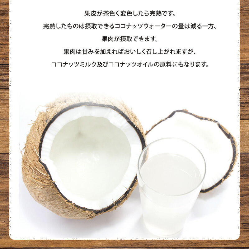 【楽天スーパーセール 10％OFF★〜3/11(水)1：59迄】【フィリピン産】ゴールデンヤシの実 5玉入 約13キロヤシの実 ココナッツ ココナッツミルク ココナッツオイル 美容 健康 フルーツ 送料無料