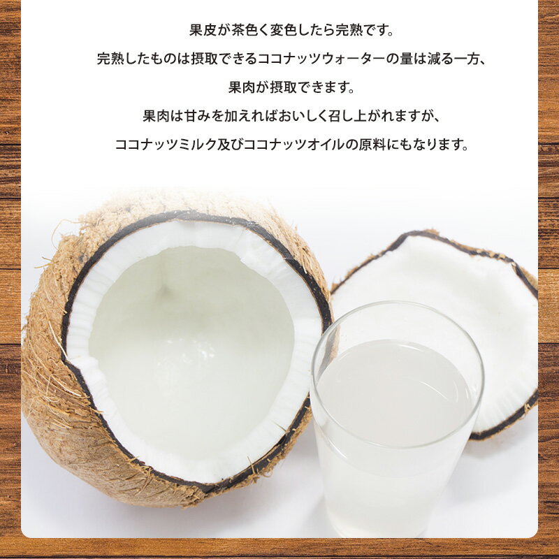 【フィリピン産】レギュラーヤシの実 5玉入 約13キロ 2玉入 1玉入ヤシの実 ココナッツ ココナッツミルク ココナッツオイル 美容 健康 フルーツ 送料無料