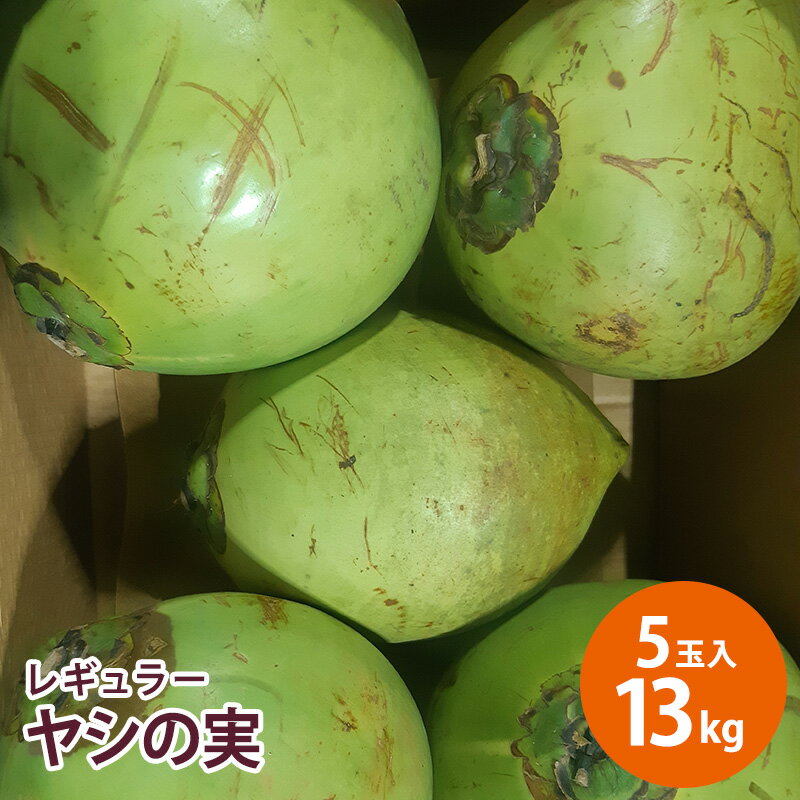 楽天市場】ヤシ 実の通販