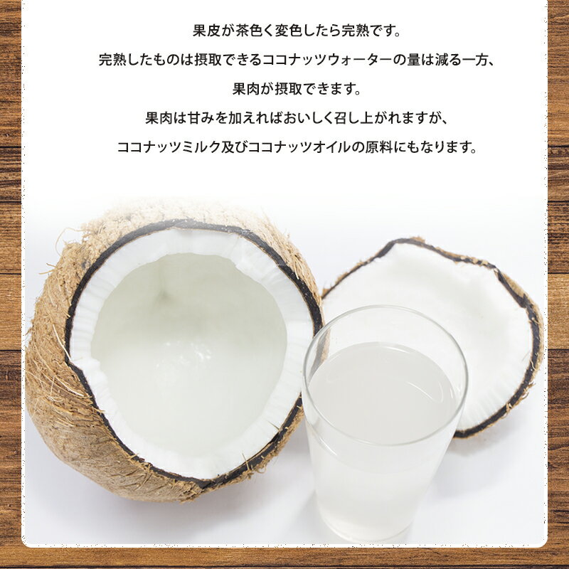 �ڥե���ԥ󻺡ۥ����ޥ��å� �䥷�μ� 6���� ��13�����䥷�μ� �����ʥå� �����ʥåĥߥ륯 �����ʥåĥ����� ���� �� �ե롼�� ����̵��