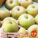 長野産 下伊那のあまーい梨 5kg 14〜16玉入り梨 送料無料 ギフト 果物 フルーツ 栄養豊富