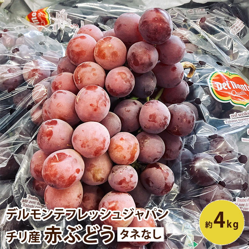 デルモンテフレッシュジャパン 赤ぶどう タネなし チリ産 4kgフルーツ ギフト 赤ブドウ 赤葡萄 種無し送料無料のサムネイル