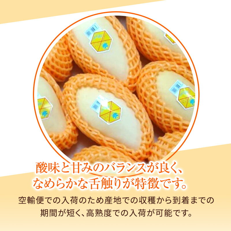 タイ産マンゴー　ナンドクマイ種　約4.5キロ　10玉〜15玉　クール便送料無料　甘い　トロピカルフルーツ　御歳暮　お歳暮　お供え　お見舞い　内祝　ギフト　贈り物　プレゼント　グルメ 2