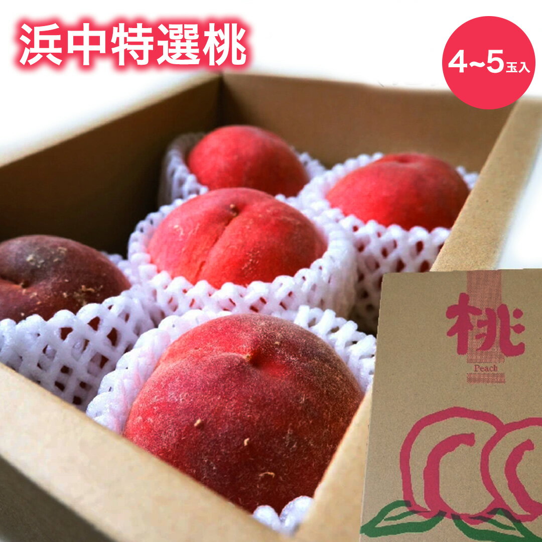 【長野県産】浜中特選 桃 およそ1.5kg 4~5個入り 化粧箱 送料無料 ギフト おうち フルーツ 果物 ギフト peach もも 季節 旬のサムネイル