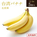 台湾バナナ 北蕉種【限定】 3本～5本（500gUP） 5袋入り 約2.5kg以上 台湾産 バナナ 