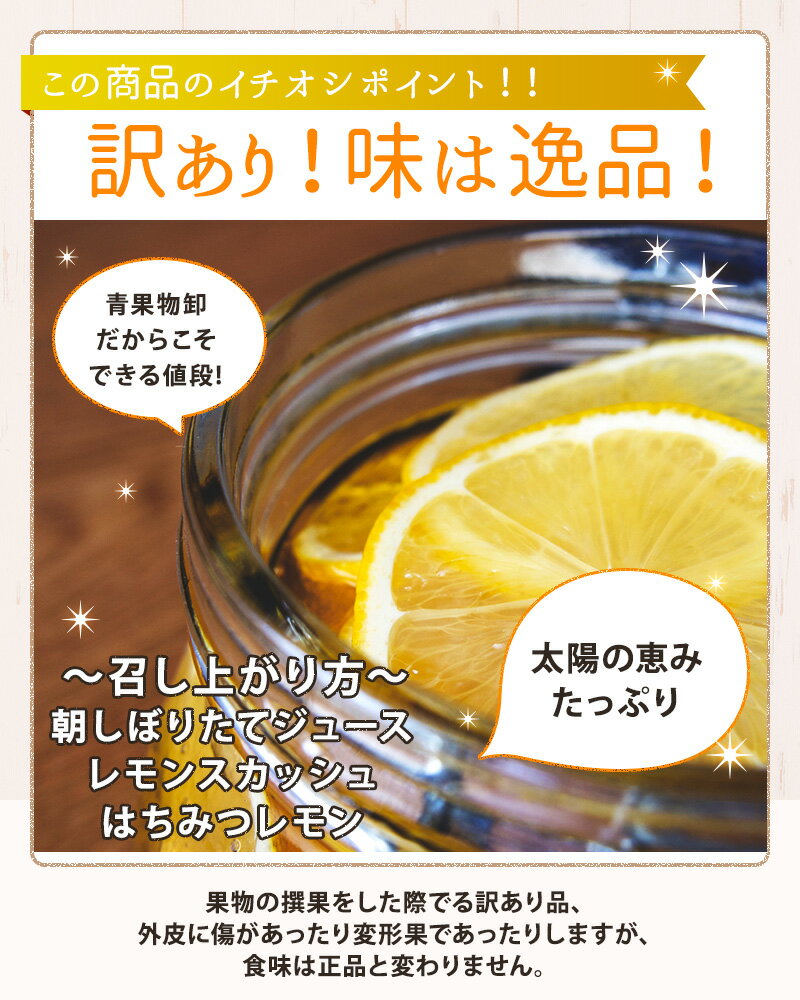 �ڥ���ꥫ���������� ���� 2kg 3kg 4kg ���ò� ����̵���������� ���ե� ��ʪ �ե롼��